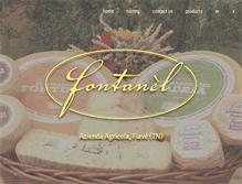 Tablet Screenshot of fontanel.it